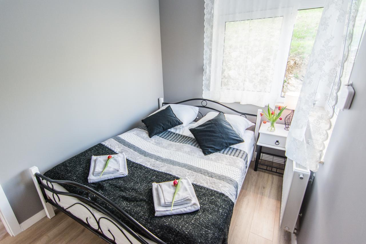 Apartamenty Izerskie - Ul. Cicha 13H-I Swieradow-Zdroj Ngoại thất bức ảnh