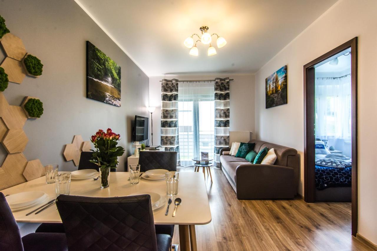 Apartamenty Izerskie - Ul. Cicha 13H-I Swieradow-Zdroj Ngoại thất bức ảnh
